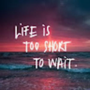 Meet your Posher, Liz